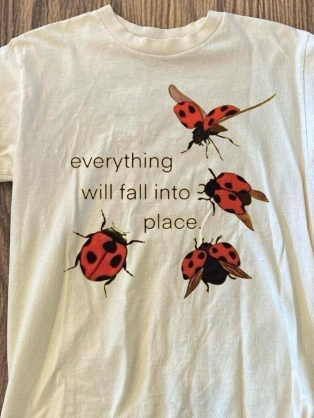 White Graphic Tee with Red Ladybug Design